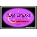 Team Edward Moon & Stars Car Magnet