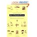 The Conde Nast Traveler Book of Unforgettable Journeys: Great Writers on Great Places