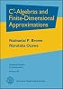 $\textrm{C}^*$-Algebras and Finite-Dimensional Approximations (Graduate Studies in Mathematics)