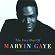 The Very Best of Marvin Gaye