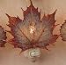 Real Sugar Maple Leaf in Iridescent Copper Night Lights