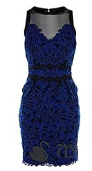 Polyamide Lace Embroidered Peplum  Dress