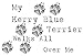 My Kerry Blue Terrier Walks All Over Me Apron