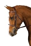 Collegiate Square Raised Bridle