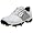 White/Silver