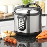 Prolectrix Pressure Cooker