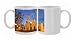 Night view of Plaza Jose Marti showing the Cathedral de la Purisima Concepcion, Photo Mugs