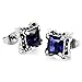 Men's Stainless Steel Stud Earrings CZ Silver Black Blue Dragon Claw Square Vintage (with Gift Bag)