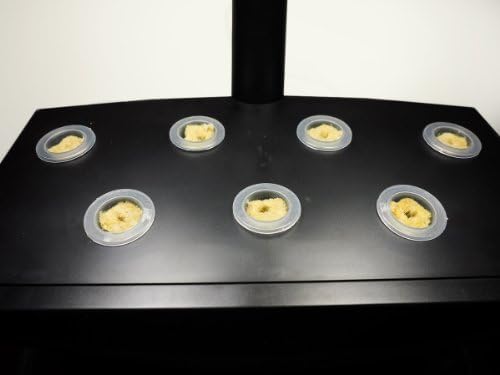 Plant & Grow Your Own Seeds Kit - Compatible with All 6-pod & 7-pod AeroGardens (2006-2012 Water Pump Aeration Models)