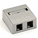 Black Box Surface-Mount Housing, 2-Port, Gray