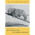 Produkt-Information 