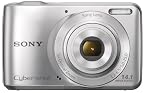 Sony Cybershot DSC-S5000 14.1MP Point & Shoot Digital Camera with 5x Optical Zoom (Silver)