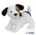 Webkinz Jack Russell