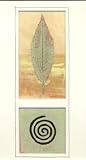 Leaf I Art Print Poster By Chris Brook, 7.75 