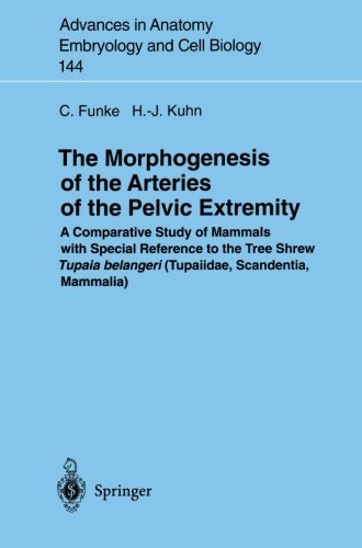 The Morphogenesis of the Arteries of the Pelvic Extremity: A Comparative Study of Mammals with special Reference to the Tree Shrew Tupaia belangeri (Tupaiidae, ... in Anatomy, Embryology and Cell Biology)