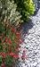 All Kinds of Landscaping - Learn How to do it!