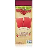 Stretch Island Original Fruit Leather, Ripened Raspberry, 0.5 Ounce (Pack of 30)