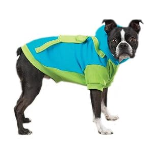 Blue Backpack Dog Hoodies1
