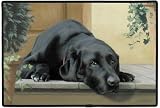 Doormat - D91 Black Lab Indoor/Outdoor Designer Doormat