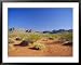 Valley of Fire State Park, Mojave Desert, Nevada, USA Collections Framed Art Poster Print by Fraser Hall, 39x31