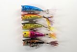 Lot of Five 2.4" Topwater Sigi Chugger/Popper Fishing Lures for Bass & Trout with Matching Tail B