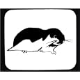 Mouse Pad with lemmus