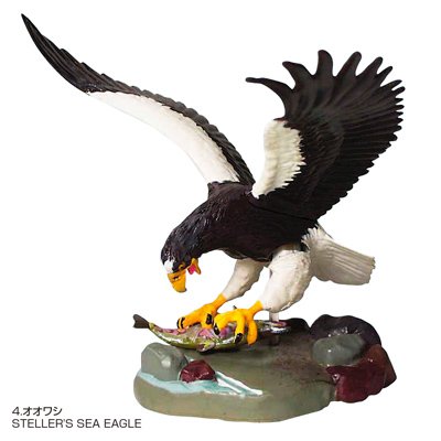 Cover image : 立体図鑑リアルフィギュアボックス ラプター (猛禽類 ワシタカ類)