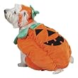 X-LARGE - PUMPKIN POOCH - Pet Halloween Costume