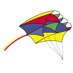 Parafoil 2 Rainbow Kite  with 500' of 50lb Test Line