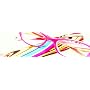 Fling Fun Colors Womens Reading Glasses with Case
