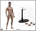 Hot Toys TrueType Male Body TTM-19 Muscular Caucasian Version 12" Figure_s-2