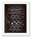 Olivia Parker, Pods of Chance, Ephemera portfolio, Museum of Fine Arts, Boston Fine Art Print