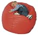 Large Resonance Beanbag