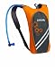CamelBak Skeeter 35-Ounce Water Bottle,Dark Cheddar/Graphite