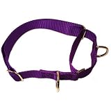 Adjustable Nylon Martingale Dog Collar Neck size: 10