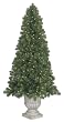 6.5' Potted Slim Olympia Pine Pre-Lit Artificial Christmas Tree - Clear Lights