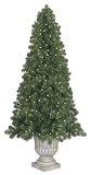 6.5' Potted Slim Olympia Pine Pre-Lit Artificial Christmas Tree - Clear Lights