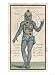 Theosophy Chakras 1696 Art Giclee Poster Print, 12x16