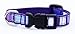 Xsmall Purple/Multi Stripe Dog Collar: 1/2