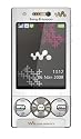 Sony Ericsson W705 Handy (WiFi, 4 GB Speicherkarte, UKW-Radio, HSUPA) luxury silver