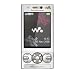 Sony Ericsson W705 Handy (WiFi, 4 GB Speicherkarte, UKW-Radio, HSUPA) luxury silver