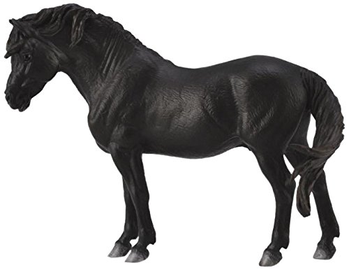 CollectA Dartmoor Pony, Black