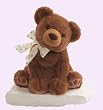 Gund Just Because Jesse Brown Bear 12 Inch