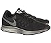 Nike Men's Zoom Pegasus 31 Flash Running Shoe