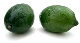 Artificial Lime, Box of 12