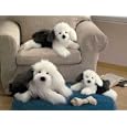 Gund Norton Jr. Sheepdog - 14"