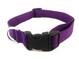 Medium Purple Nylon Webbing Dog Collar: 3/4" wide, Adjusts 13-20".