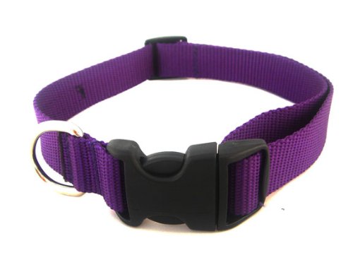 Medium Purple Nylon Webbing Dog Collar: 3/4