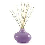 Pearlessence Aroma D'Light Hand-Blown Milky Glass Reed Diffuser, Purple