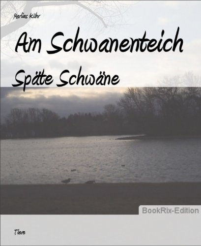 Am Schwanenteich: Späte Schwäne (German Edition)